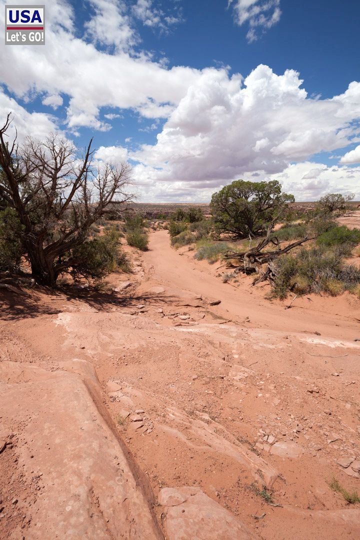 Moab Backroads