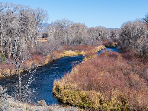 Curecanti National Recreation Area