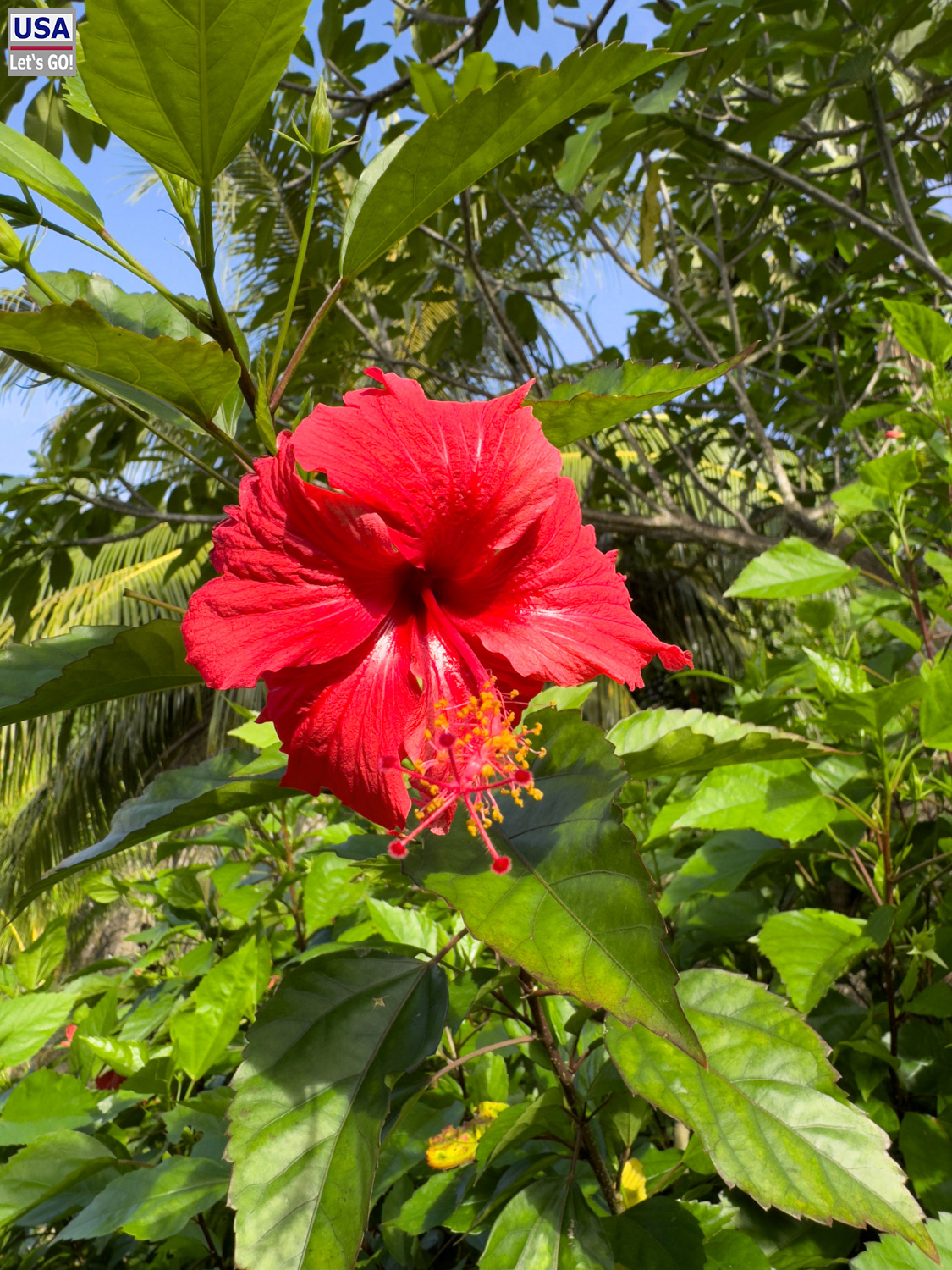 Seychellen 2024
