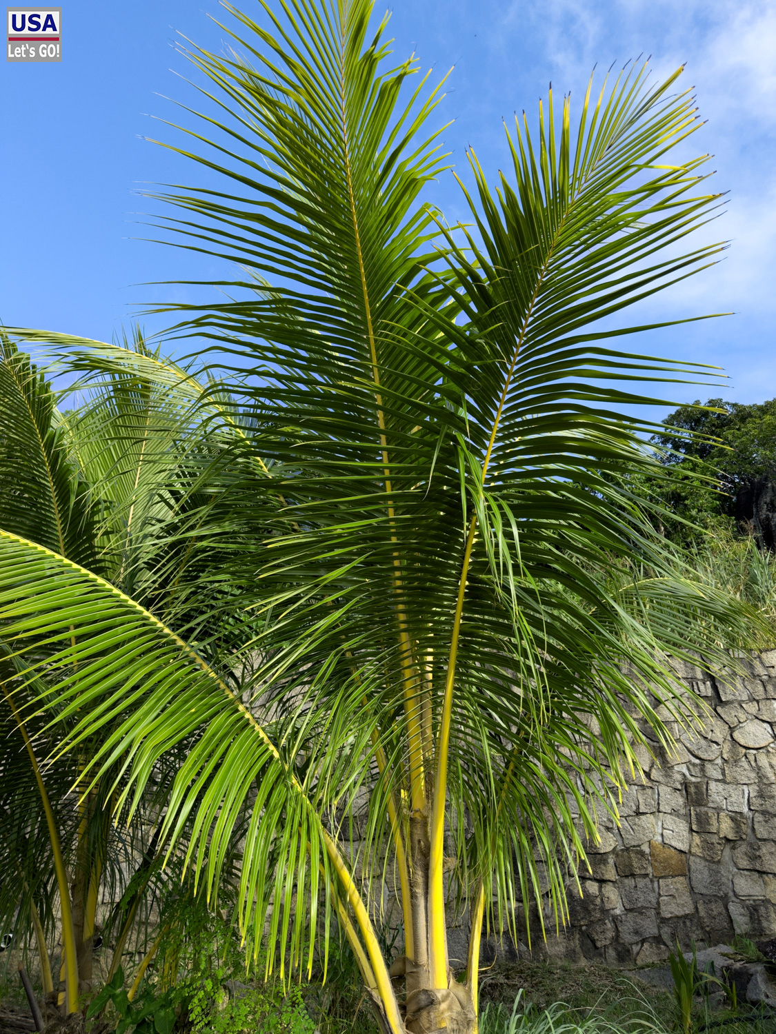 Seychellen 2024