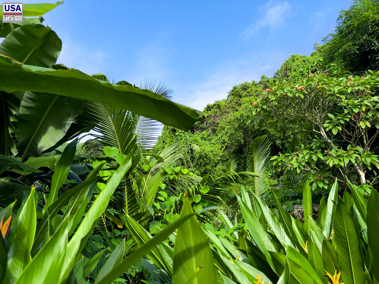 Seychellen 2024