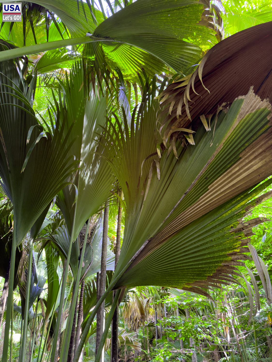 Seychellen 2024