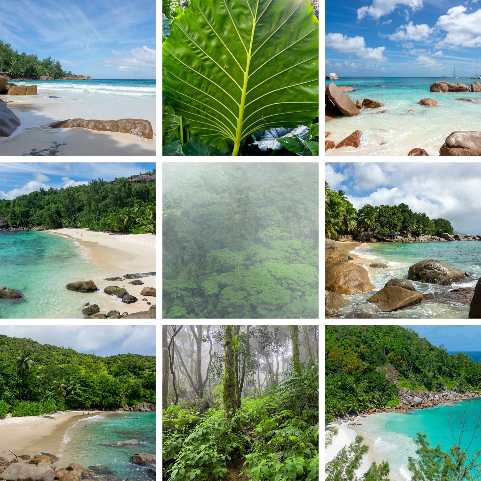 Collage der Seychellen-Reise: Sandstrände mit Granitfelsen und türkisem Wasser, Regenwald im Nebel und tropische Blätter auf Mahé und Praslin