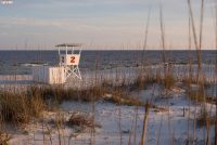 Gulf State Park (AL)