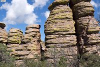 Chiricahua National Park (AZ)