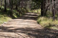 Chiricahua Loop (AZ)