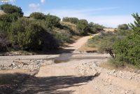 Chiricahua Loop (AZ)