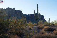 Lost Dutchman State Park (AZ)