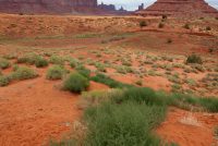 Monument Valley Tribal Park (AZ)