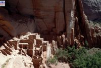 Navajo NM (AZ)