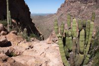 Organ Pipe Cactus National Monument (AZ)