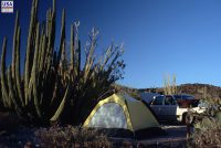 Organ Pipe Cactus National Monument (AZ)