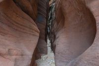 Paria Canyon-Vermilion Cliffs Wilderness Area (AZ)