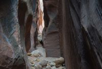Paria Canyon-Vermilion Cliffs Wilderness Area (AZ)