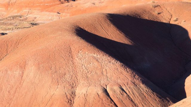 Petrified Forest National Park (AZ)