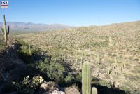 Saguaro National Park (AZ)