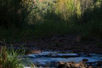 Red Rock Country (Sedona) (AZ)
