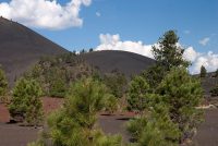 Sunset Crater Volcano National Monument (AZ)