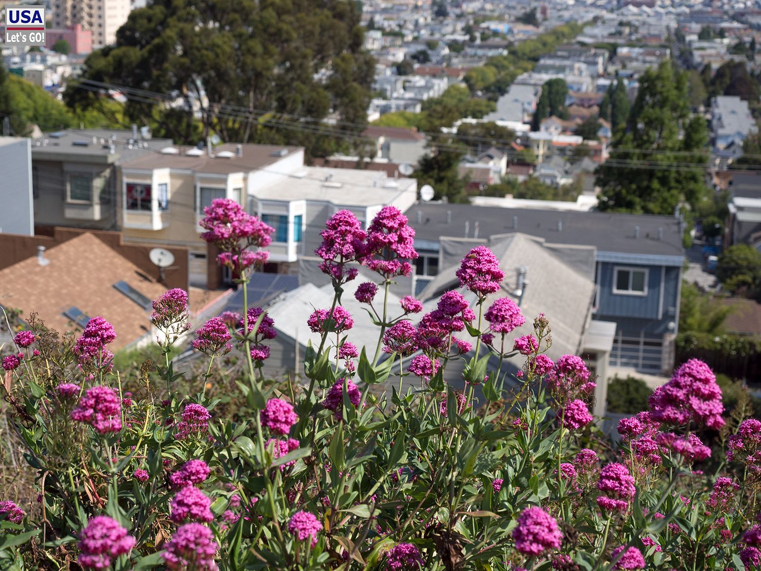 Bernal Heights