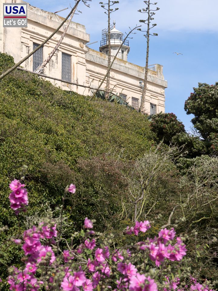 Alcatraz Island