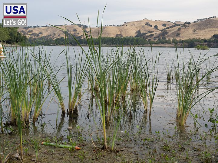 Lake del Valle SRA