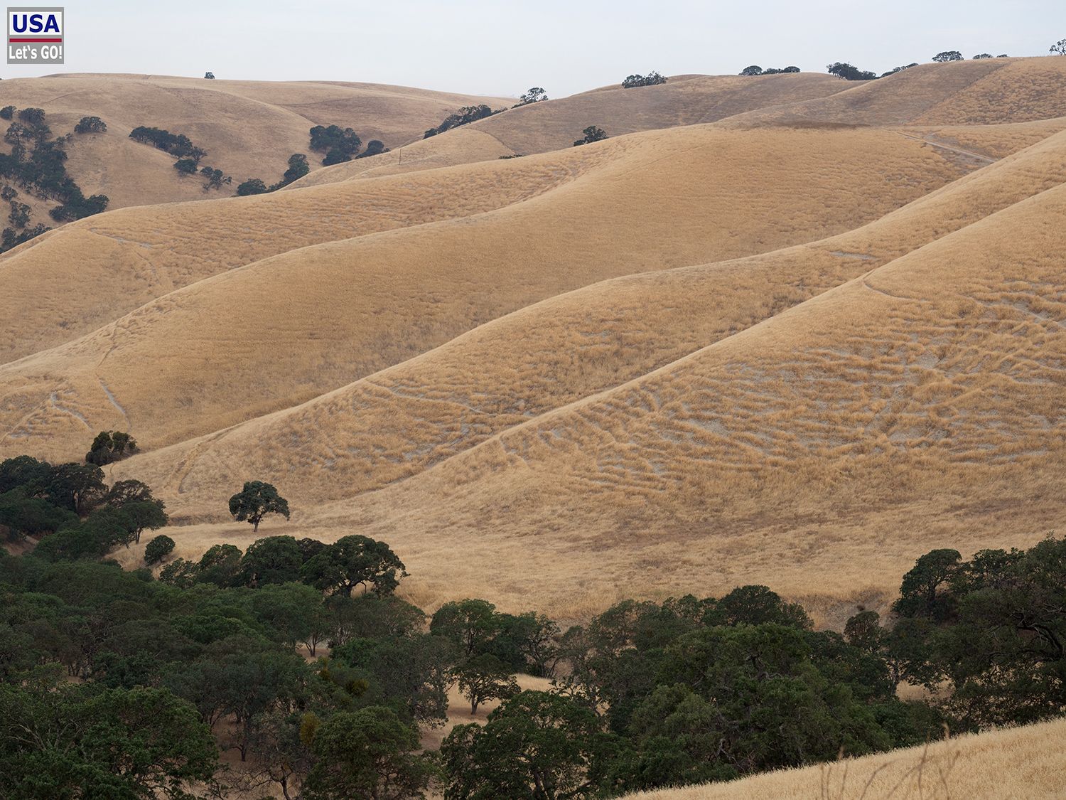 Lake del Valle State Recreation Area