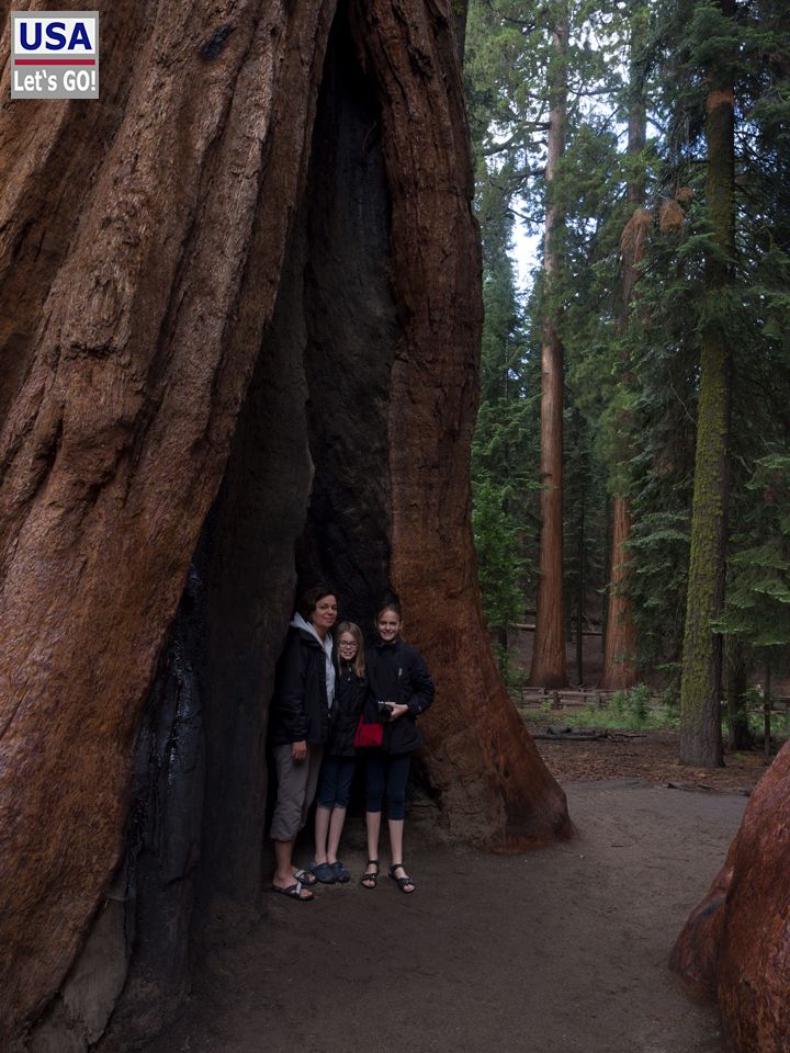 Sequoia National Park