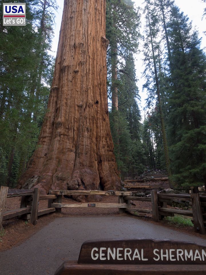 Sequoia National Park