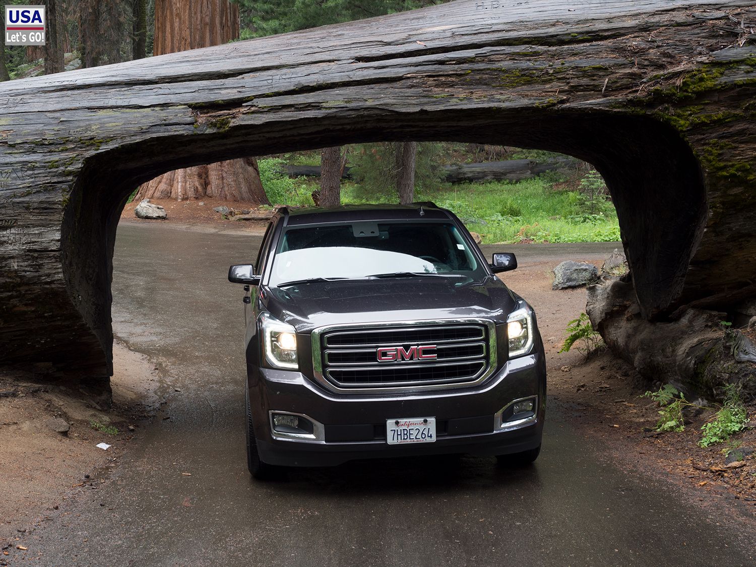 Tunnel Log Sequoia National Park