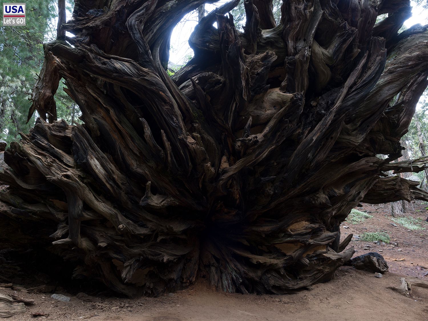 Sequoia National Park