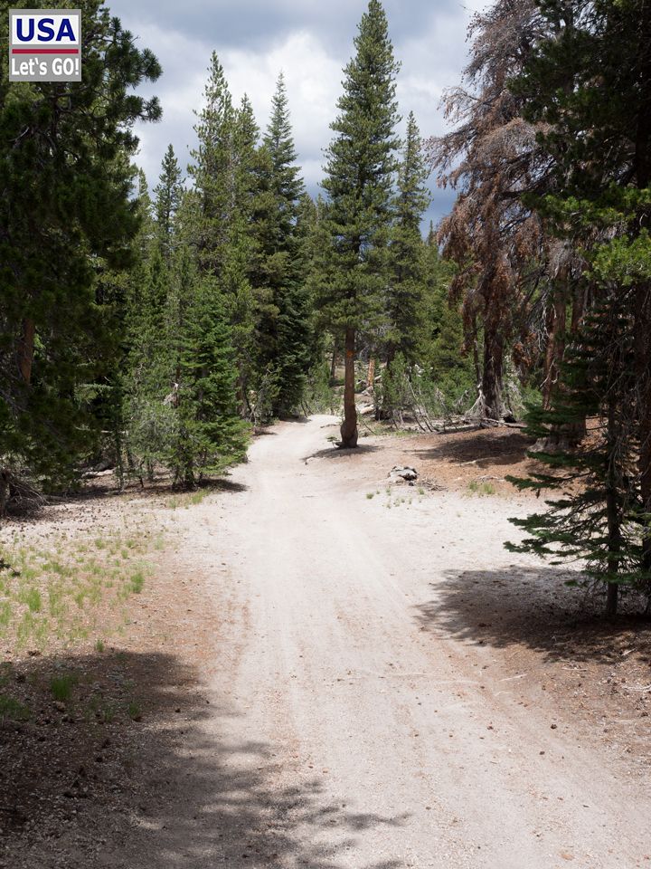 Road to Deadman Pass