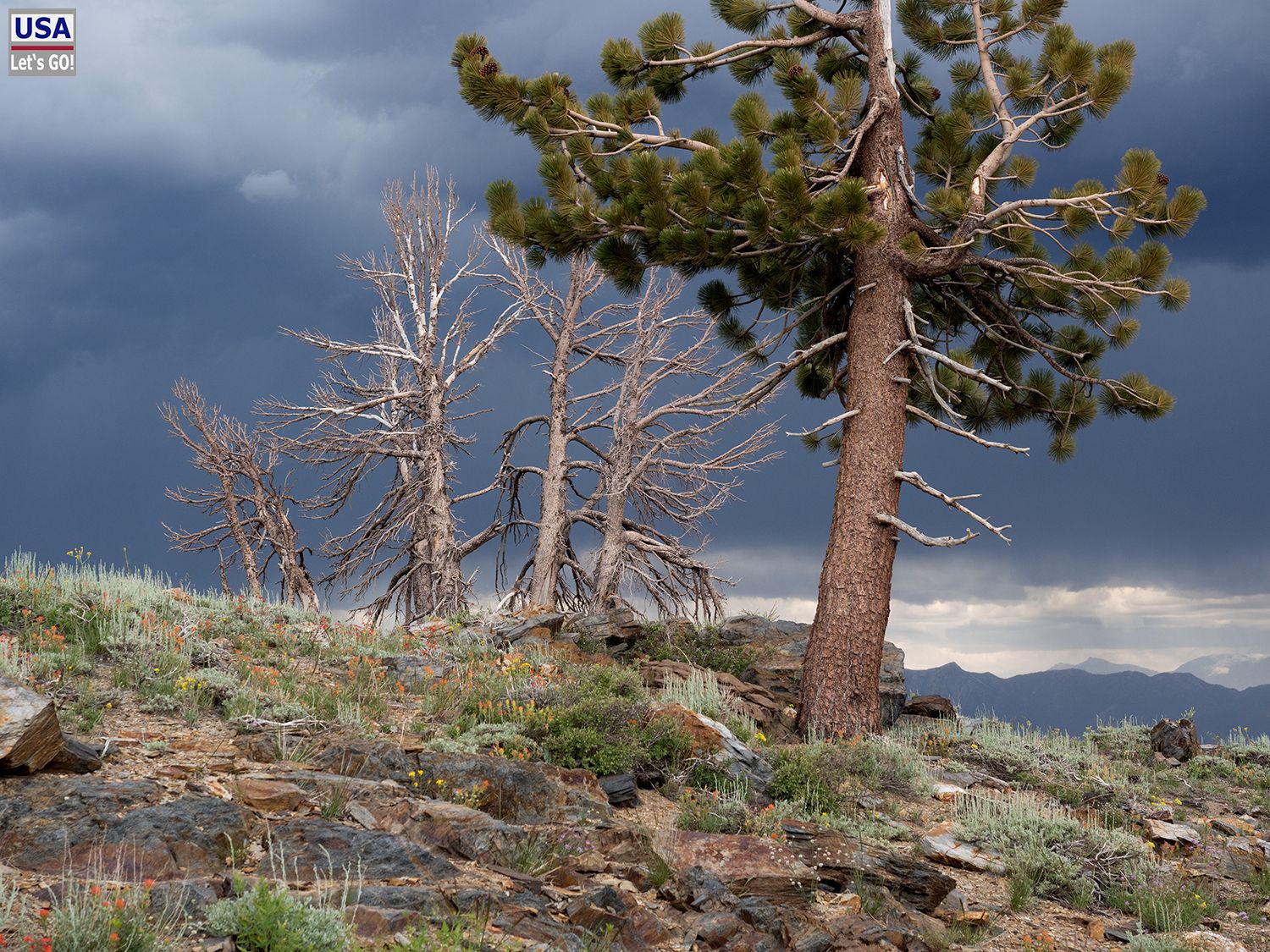 Road to Deadman Pass