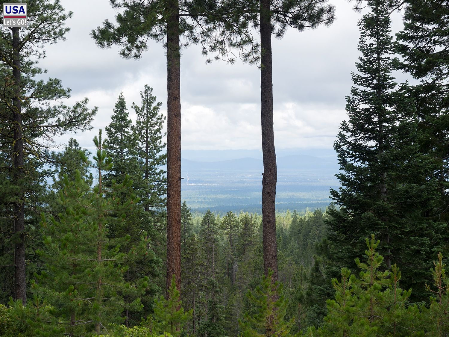 Paulina Peak Road