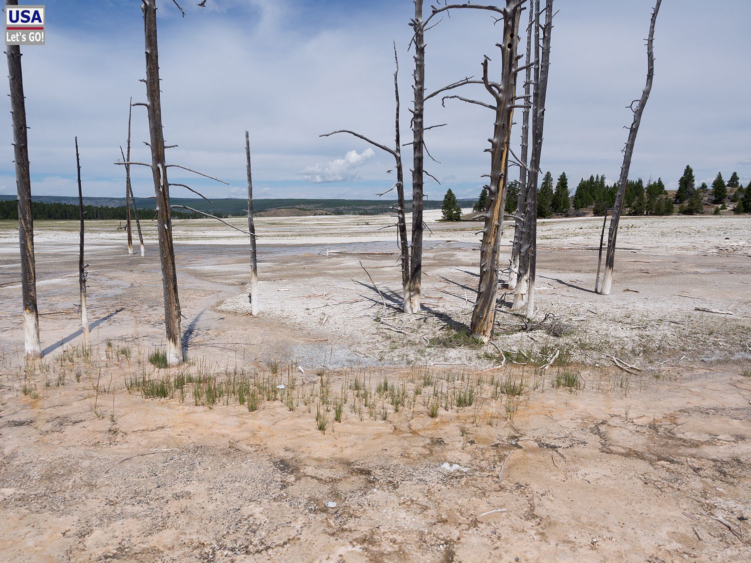 Lower Geyser Basin Yellowstone