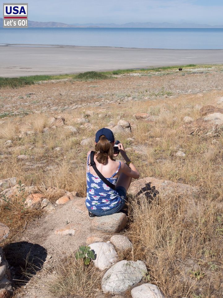 Lakeside Trail Antelope Island