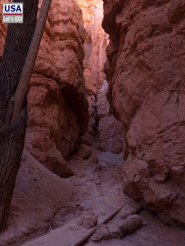 Navajo Trail Wall Street