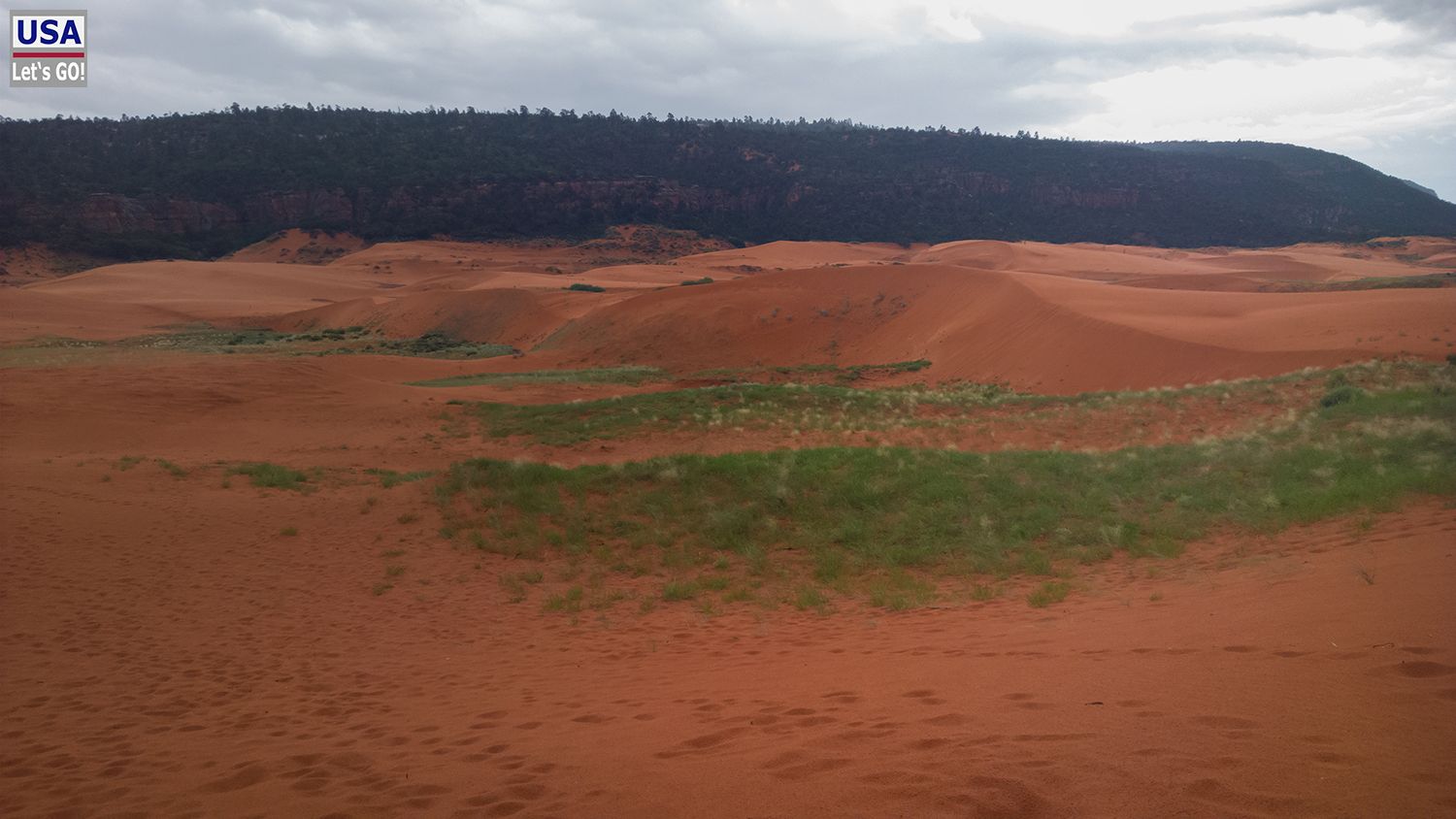 Coral Pink Sand Dunes State Park