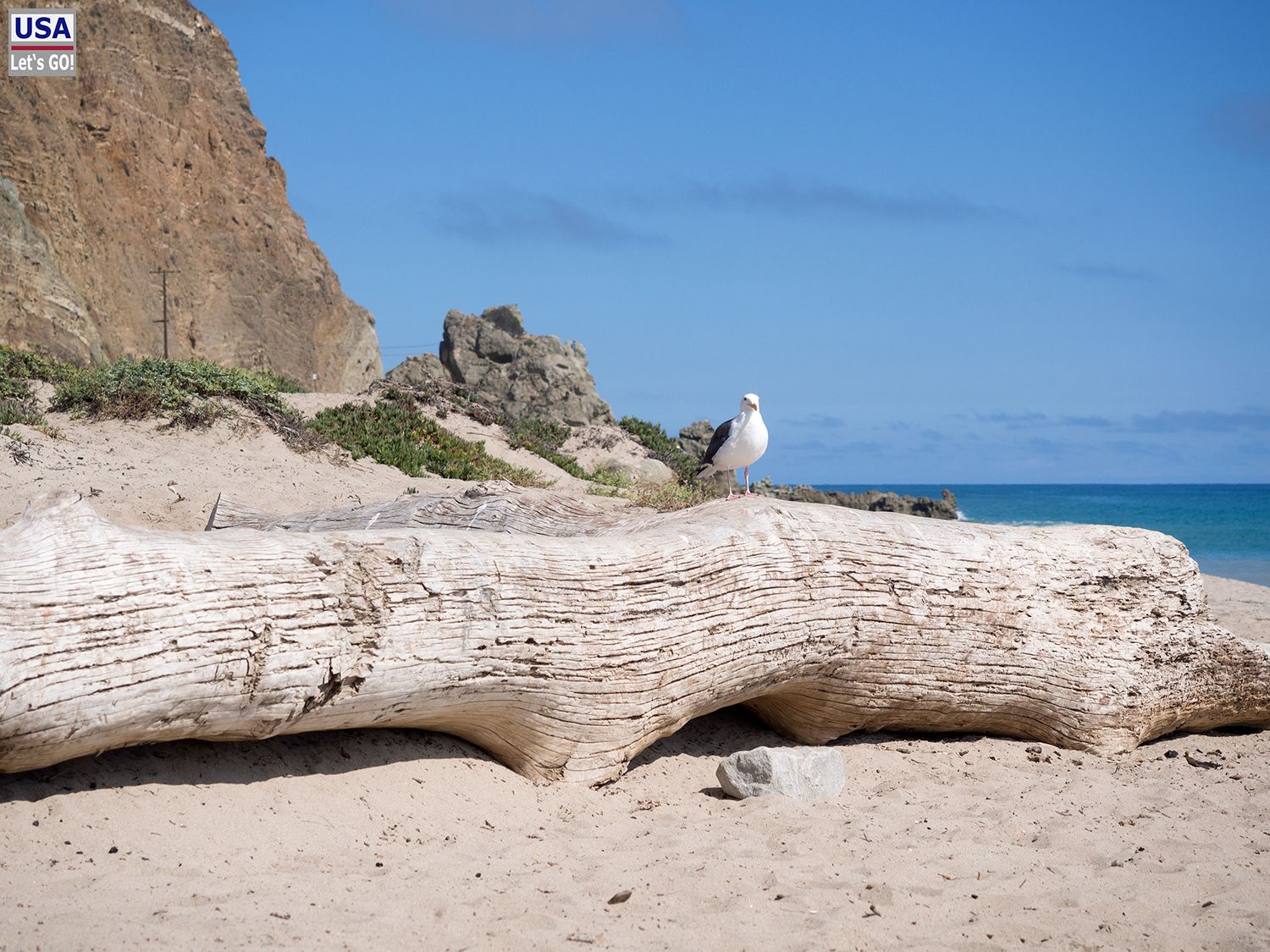 Sycamore Cove Point Mugu State Park