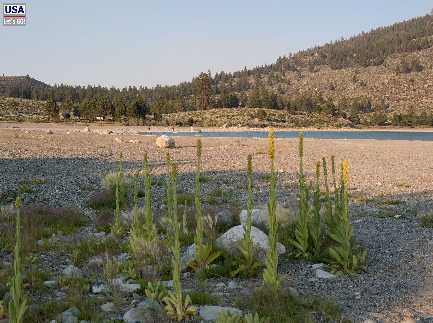 June Lake