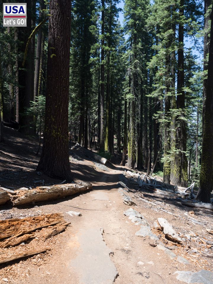 4 Mile Trail Yosemite