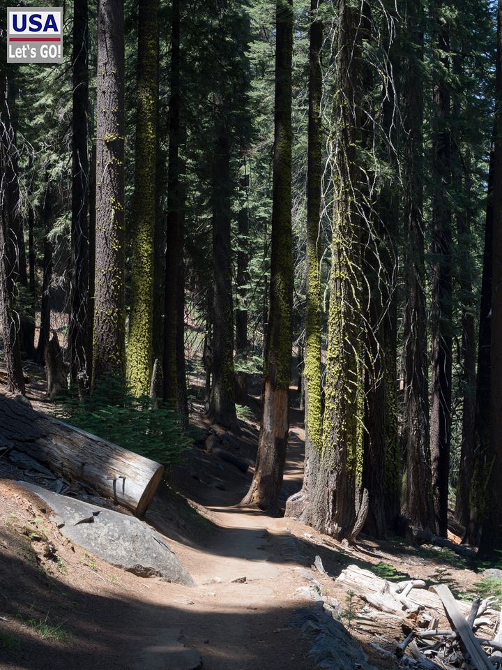 4-Mile Trail Yosemite