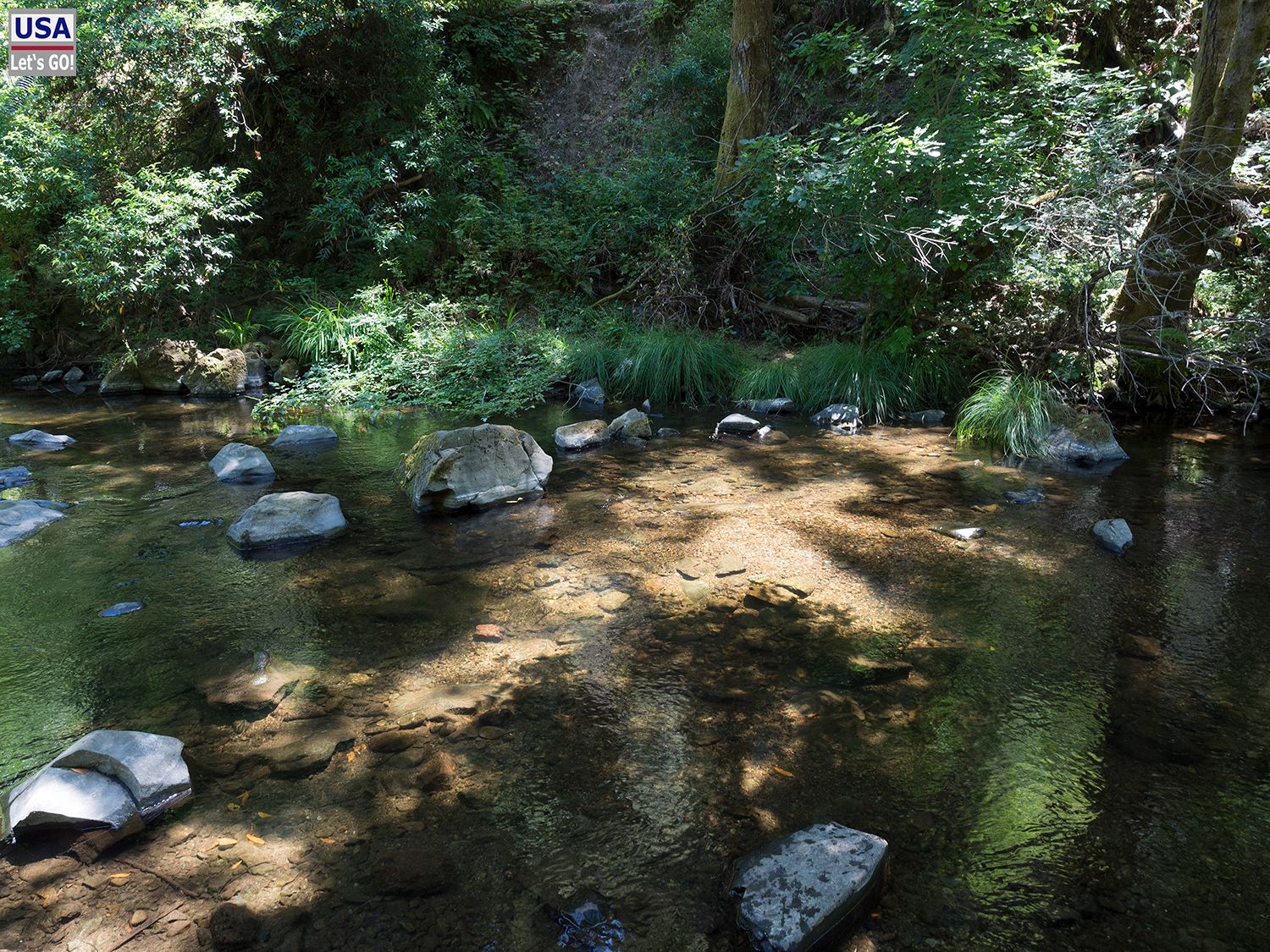 Samuel P. Taylor State Park Lagunitas Creek