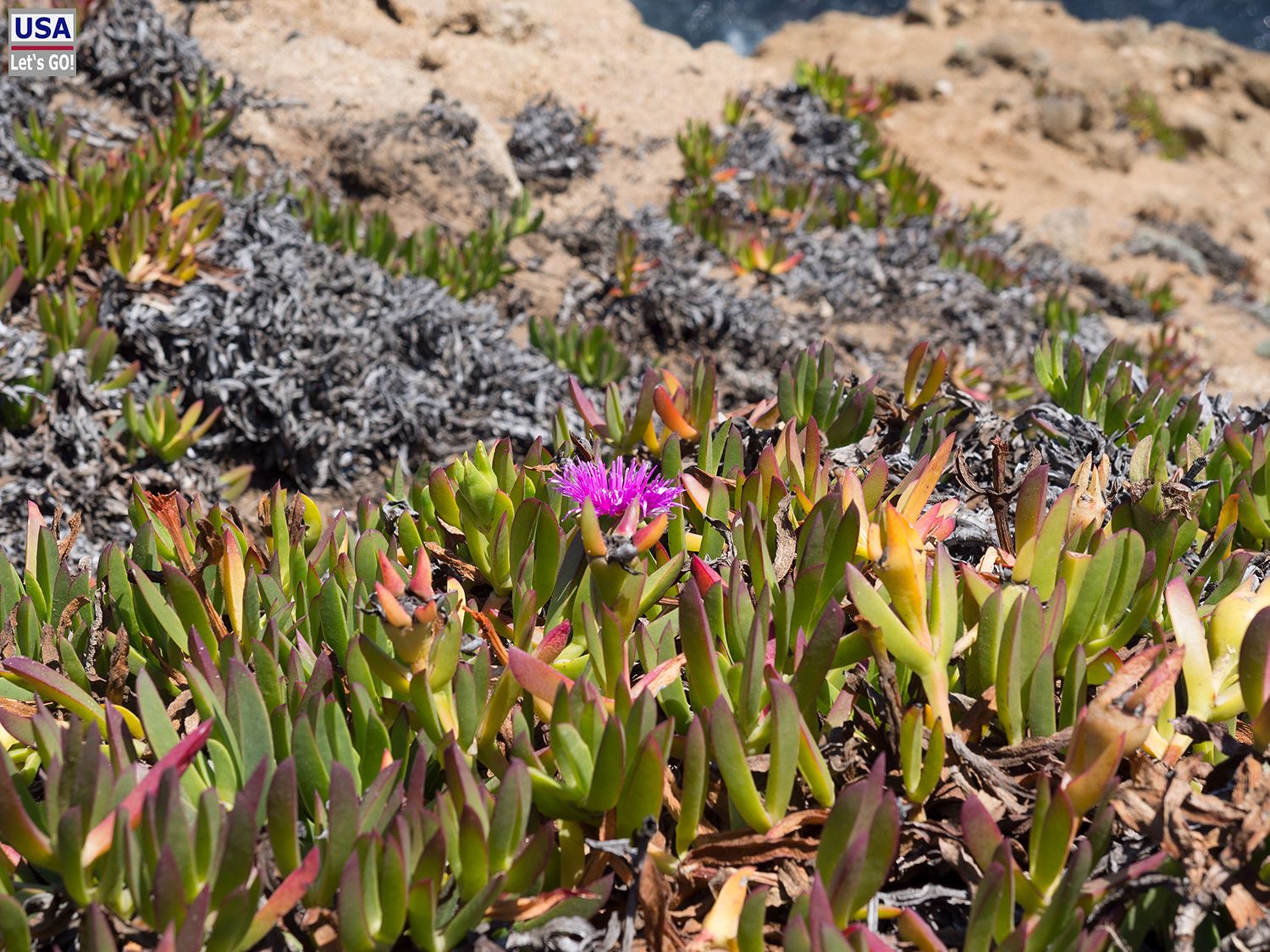 Point Reyes National Seashore