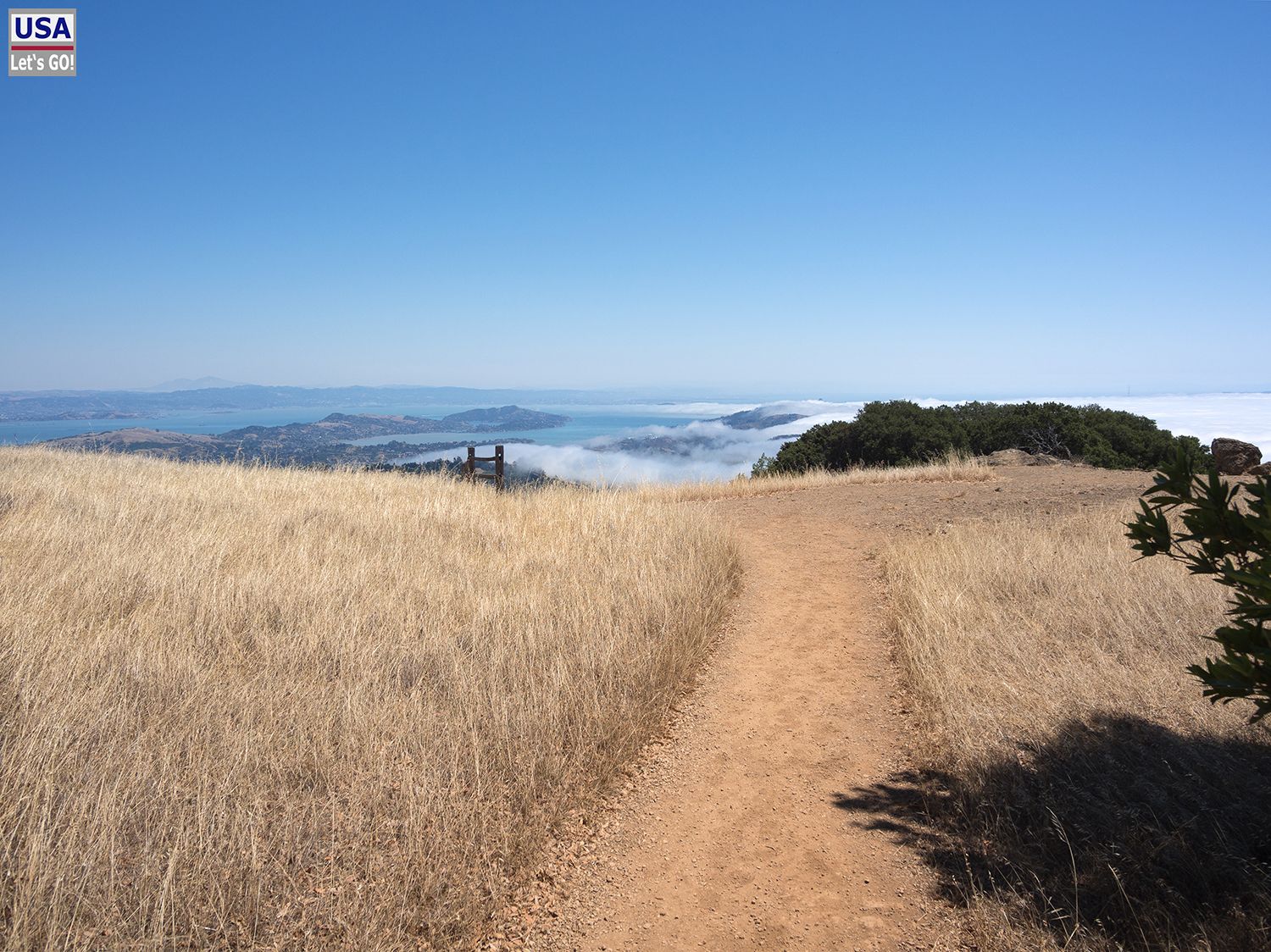 Mount Tamalpais State Park Old Mine Trail