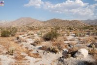 Anza-Borrego Desert State Park (CA)