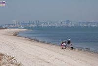 Southern California Beaches (CA)