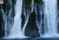 McArthur-Burney Falls Memorial State Park (CA)