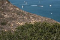Cabrillo National Monument (CA)