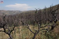 Cuyamaca Rancho State Park (CA)