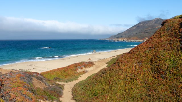 Garrapata State Park (CA)